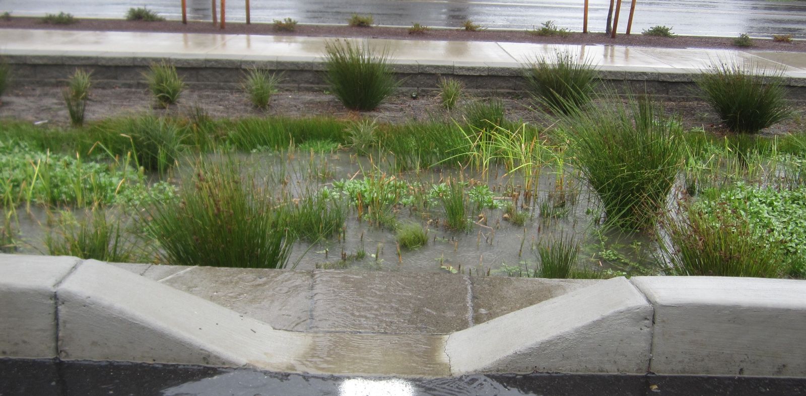 Post-Construction Stormwater Management