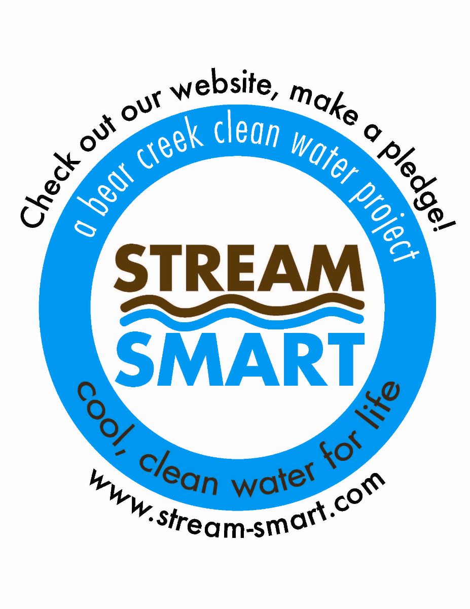 Stream Smart